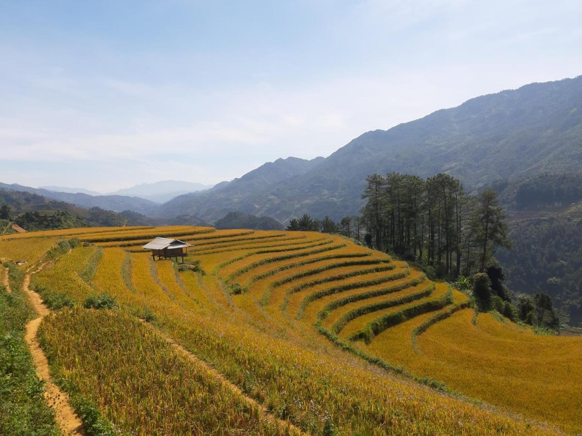 Mu Cang Chai Backpacker Hostel Zewnętrze zdjęcie