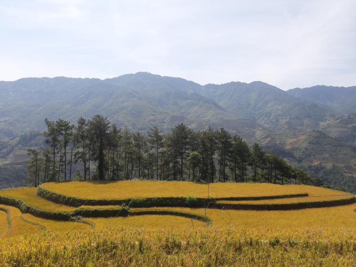 Mu Cang Chai Backpacker Hostel Zewnętrze zdjęcie