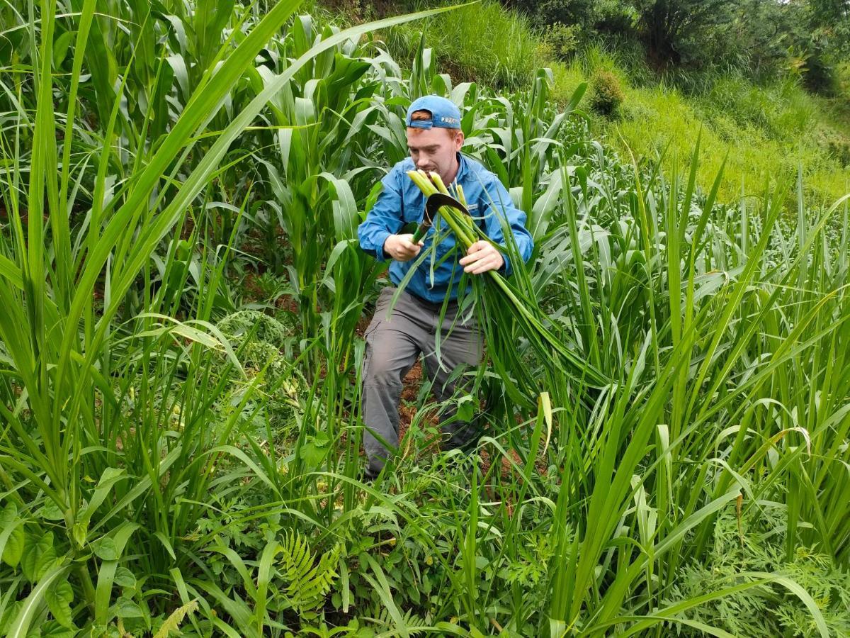 Mu Cang Chai Backpacker Hostel Zewnętrze zdjęcie
