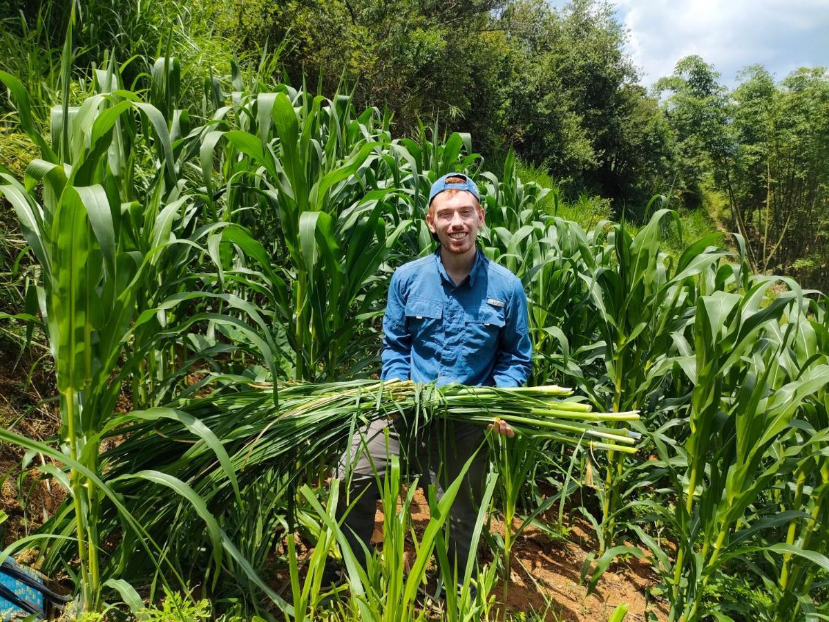 Mu Cang Chai Backpacker Hostel Zewnętrze zdjęcie